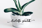 Fioletta Smith Black Friday, a Script Font by MissinkLab Studio (Thumbnail 9 of 9)