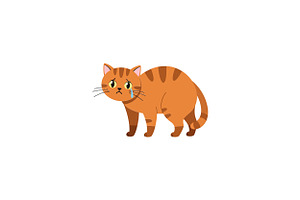 Orange tabby cat with a sad expressi, an Illustration by designvectx