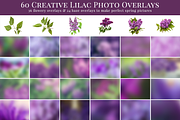 Dreamy Lilac photo overlays, a Layer Style Add-On by BrownLeopard (Thumbnail 6 of 7)