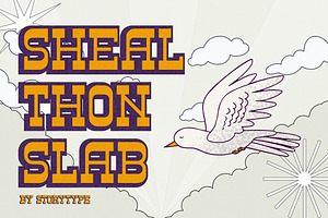 SHEAL THON SLAB Display Font, a Slab Serif Font by Storytype Studio