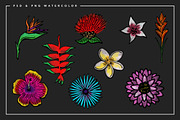Tropical Watercolor Illustrations, an Illustration by Spring Break Jake (Thumbnail 17 of 19)