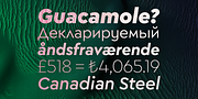 Megabyte, a Sans Serif Font by Type Atelier (Thumbnail 6 of 8)