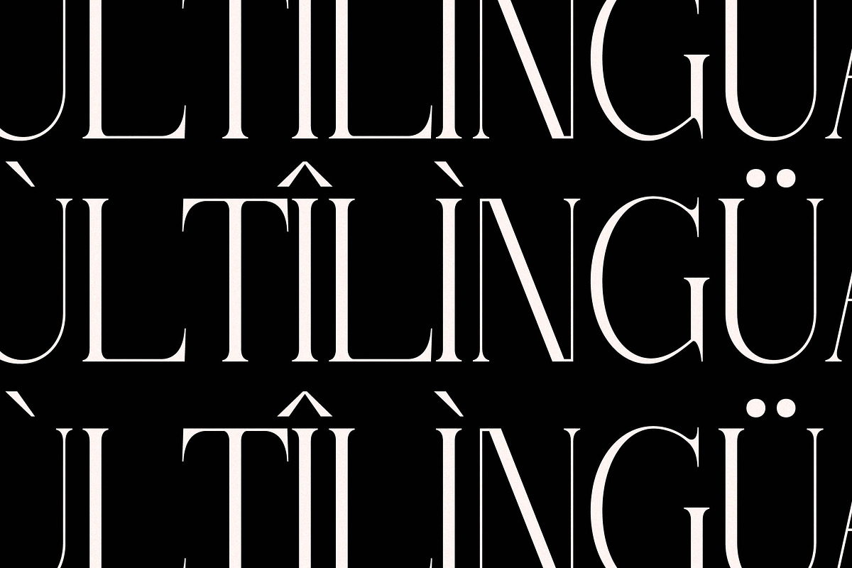 Thorco New Display Serif Font, a Serif Font by Storytype Studio (Photo 14 of 15)