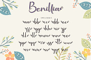 Benillia, a Script Font by AEN Creative Studio (Thumbnail 12 of 12)
