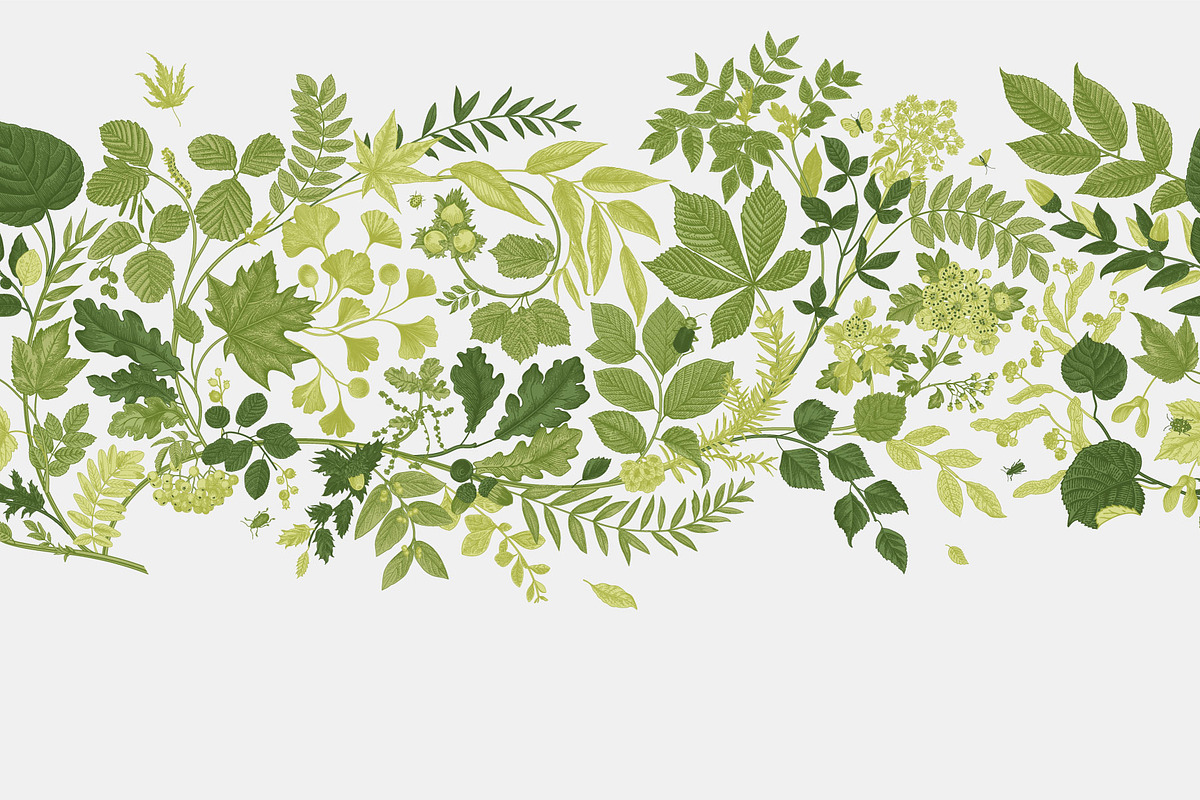 Leafy, a Decorative Illustration by olga.korneeva (Photo 2 of 16)