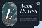 Aguilary Modern - Elegant Logo Font, a Serif Font by Nirmana Visual (Thumbnail 15 of 16)
