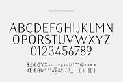 Naive Sans Medium & Shake, a Handwritten Font by S&C Type (Thumbnail 3 of 6)