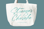Sheyotu Etrella Stylish Handwritten, a Script Font by stylishtype.co (Thumbnail 10 of 20)