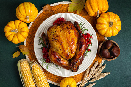 Roasted chicken for Thanksgiving Day, a Food & Drink Photo by LanaSweet