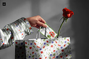 Wildflowers, stripes, checks bandle, a Pattern Graphic by Oksana Dovhopol Art (Thumbnail 19 of 23)