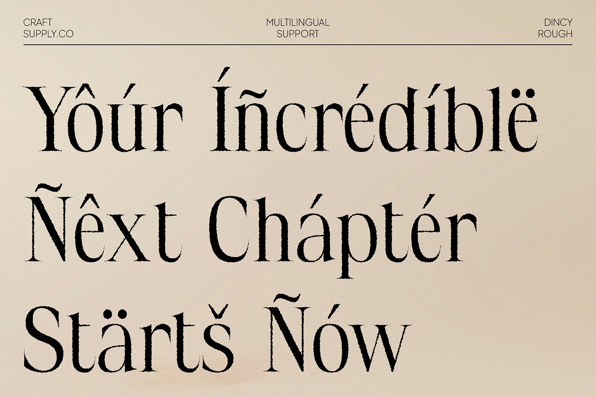 Dincy Rough, a Serif Font by Craft Supply Co. (Photo 6 of 8)
