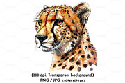 Watercolor of a cheetah head., an Animal Illustration by yod67 (Thumbnail 1 of 2)