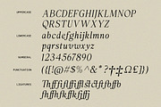 The Rosemide Serif, a Serif Font by Skinny Type (Thumbnail 13 of 13)