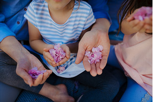 Family holding spring flowers in, a Nature Photo by HalfPoint