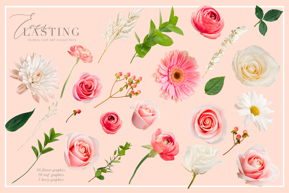 Everlasting Floral Clip Art, an Object Graphic by Eclectic Anthology (Photo 13 of 14)