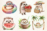 Summer Hedgehog Clipart, an Illustration by Dream Creation (Thumbnail 6 of 6)