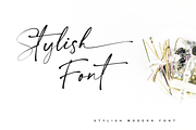 Collection - NEW STYLE, a Script Font by alphArtype (Thumbnail 3 of 16)