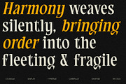 CS Angle – Classic Font, a Serif Font by Craft Supply Co. (Thumbnail 6 of 8)