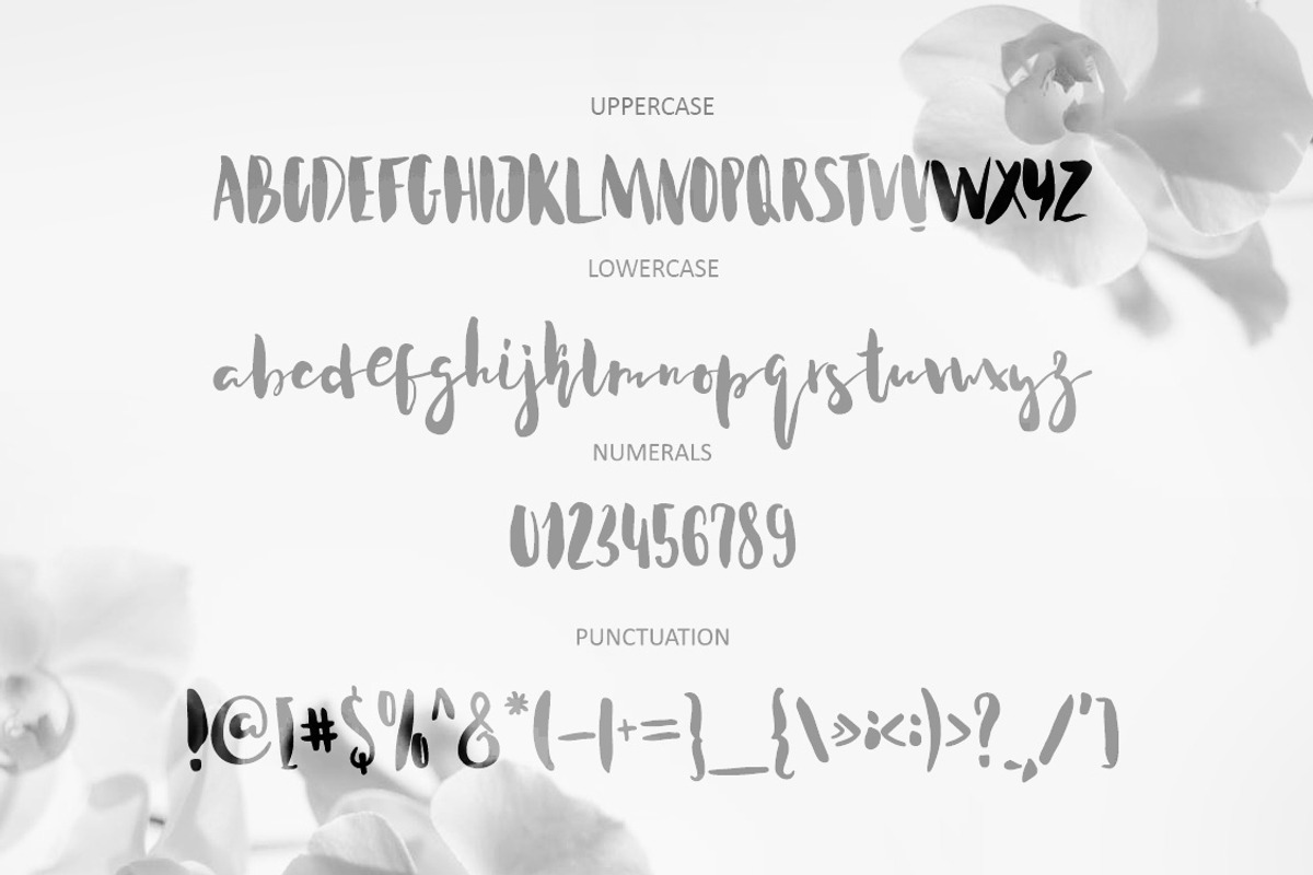 Acquainted Script Brush Font preview 5