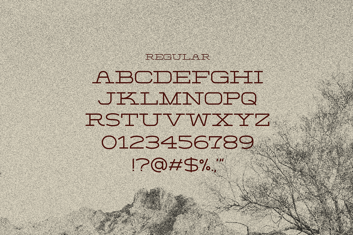 Burro Wash - Slab Serif Display Font, a Slab Serif Font by Sombrero Craft (Photo 2 of 6)