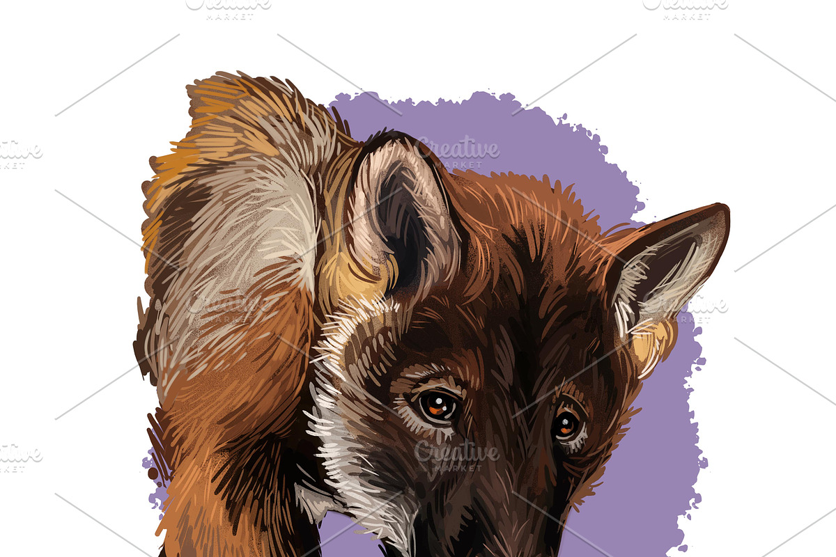 Puppies Dog Breeds Big Bundle 135Pcs, an Animal Illustration by Dneprstock (Photo 54 of 68)