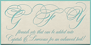 Dom Loves Mary, a Script Font by Correspondence Ink (Thumbnail 3 of 6)