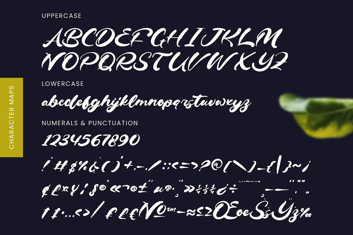 Drink South Bold Calligraphy Font, a Script Font by Letterena Studios Script (Photo 18 of 20)