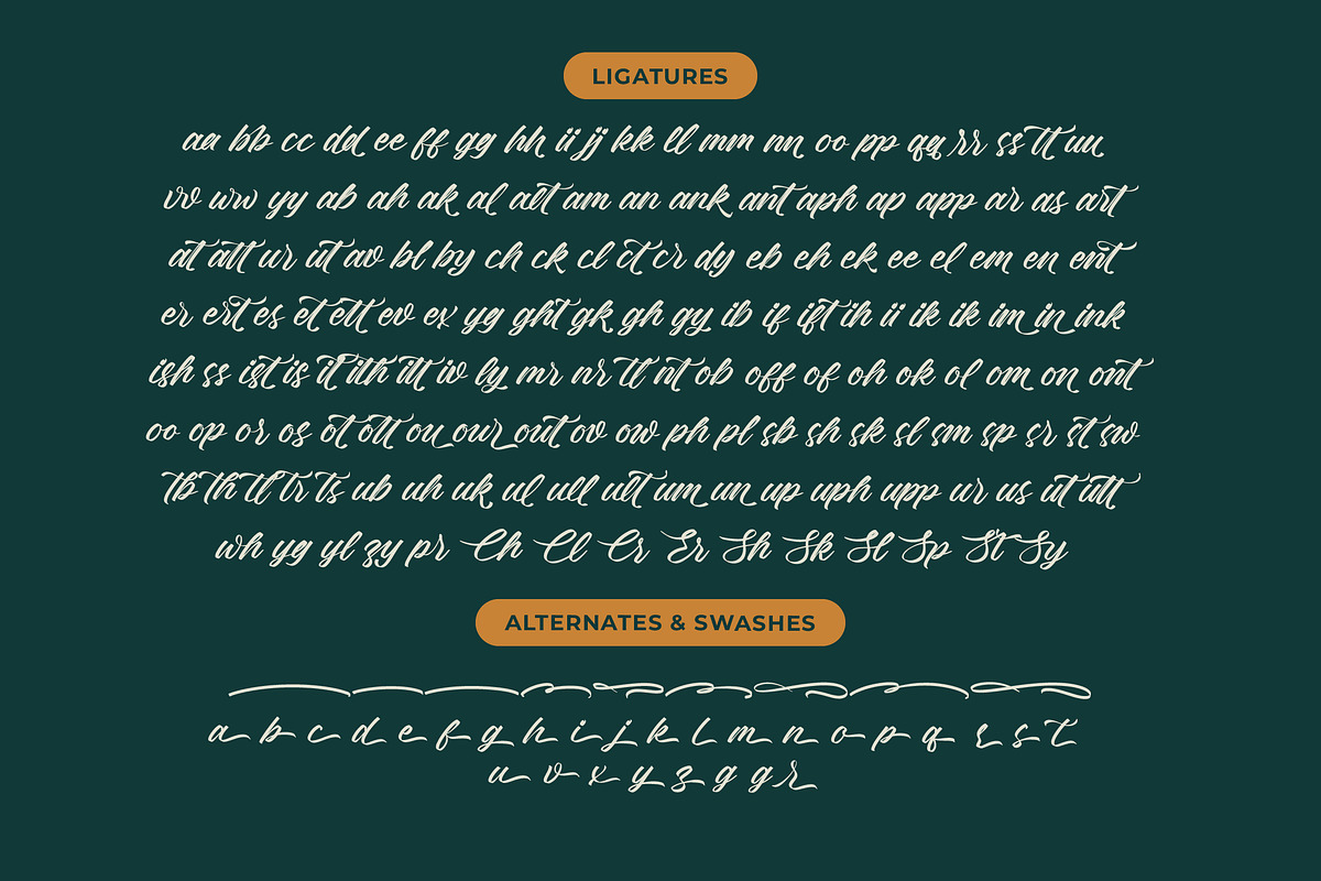 Rustical Banley Modern Script Font, a Script Font by Letterena Studios Script (Photo 19 of 20)