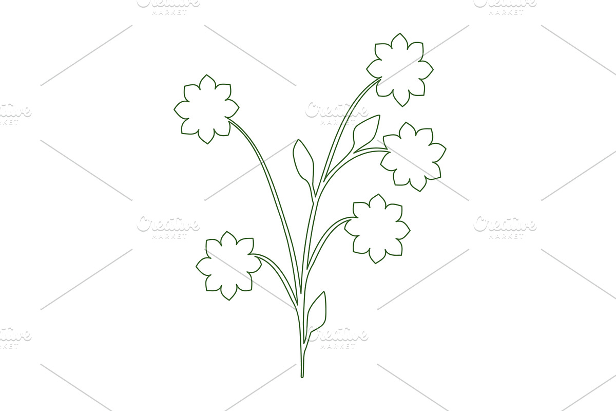 Delicate green line art drawing of a, an Object Illustration by okskukuruza