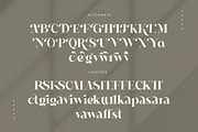 Regal - Curving Stylish Font, a Serif Font by The_Type (Thumbnail 10 of 12)