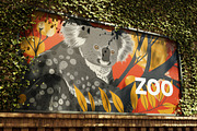Animal world. 104 images, an Animal Illustration by Handmadefont (Thumbnail 14 of 17)