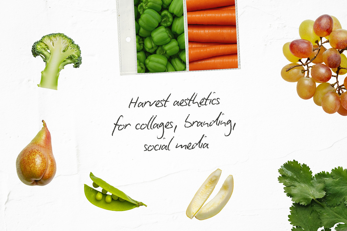 Harvest Collage Pack, an Object Graphic by lerinartstudio (Photo 3 of 7)
