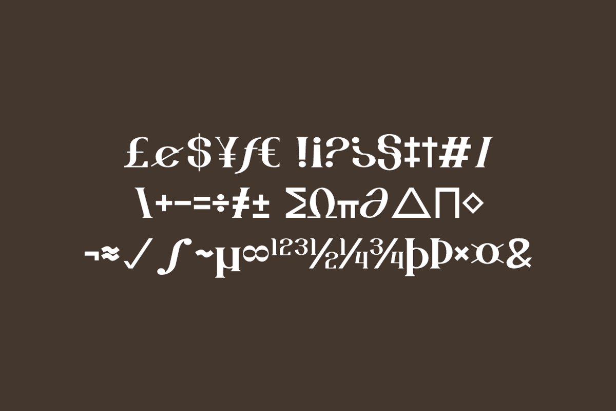 Aesthetic Mofash - Luxury Bold Font, a Serif Font by QR Design Studio (Photo 10 of 13)