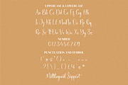 Aichella, a Script Font by Integritype Studio (Thumbnail 8 of 11)