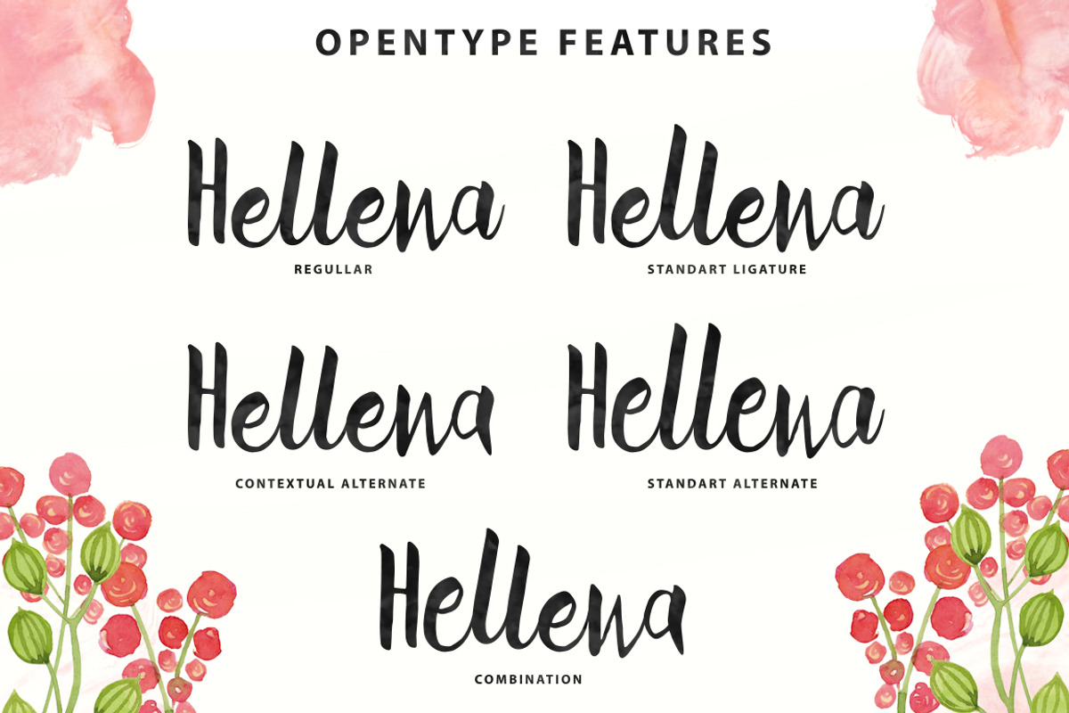 Hellena Script, a Script Font by QueenType (Photo 2 of 5)