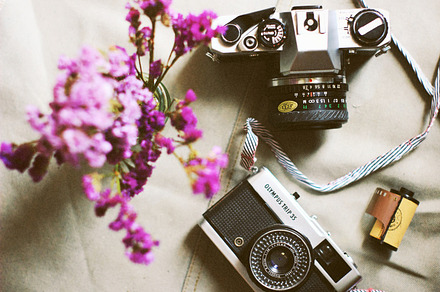 Film camera and flower, an Arts & Entertainment Photo by Nuchylee Photo