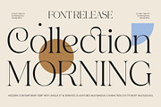 Collection Morning Modern Serif, a Serif Font by timelesstype.co (Thumbnail 1 of 10)