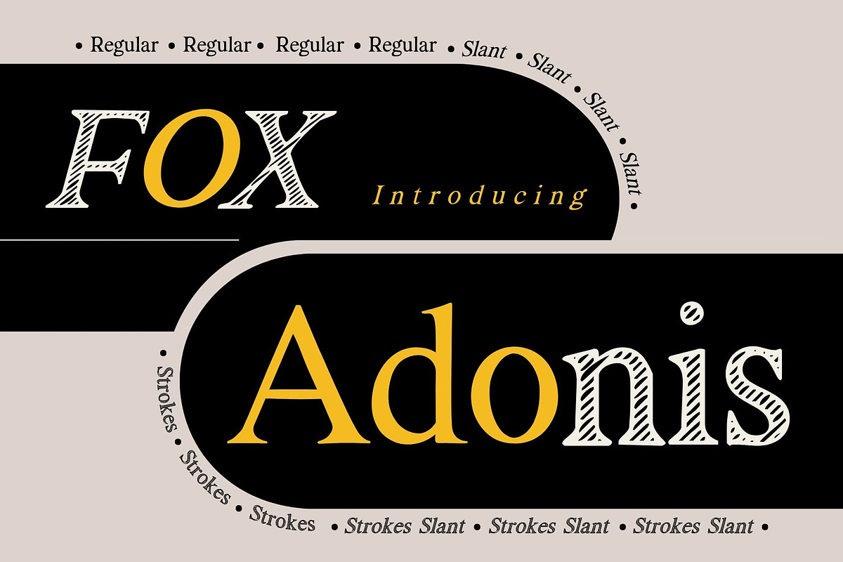 Fox Adonis: 4 Font Styles, a Serif Font by Fox7 By Rattana (Photo 1 of 13)
