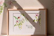 Watercolor wildflower, dried botany, a Decorative Illustration by MariGraphic boutique (Thumbnail 4 of 12)