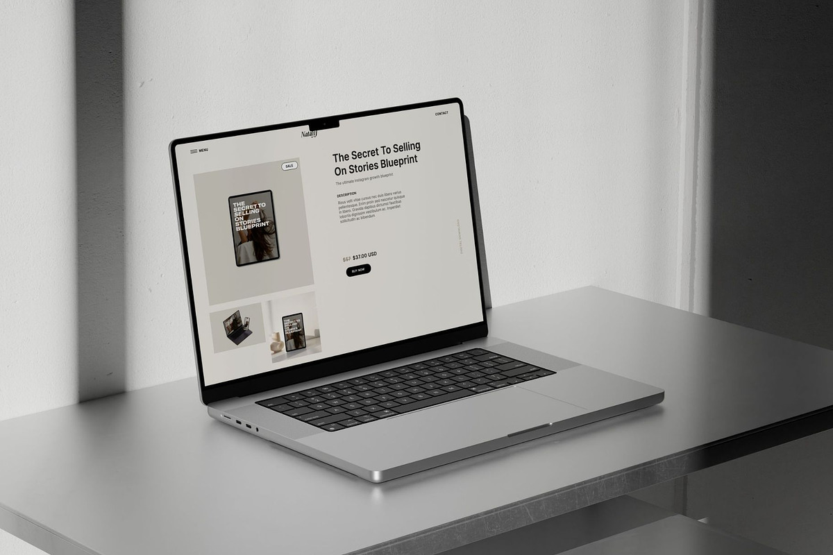 Showit Digital Shop Add-on page, a Landing Page Template by Digital&Chic (Photo 5 of 8)