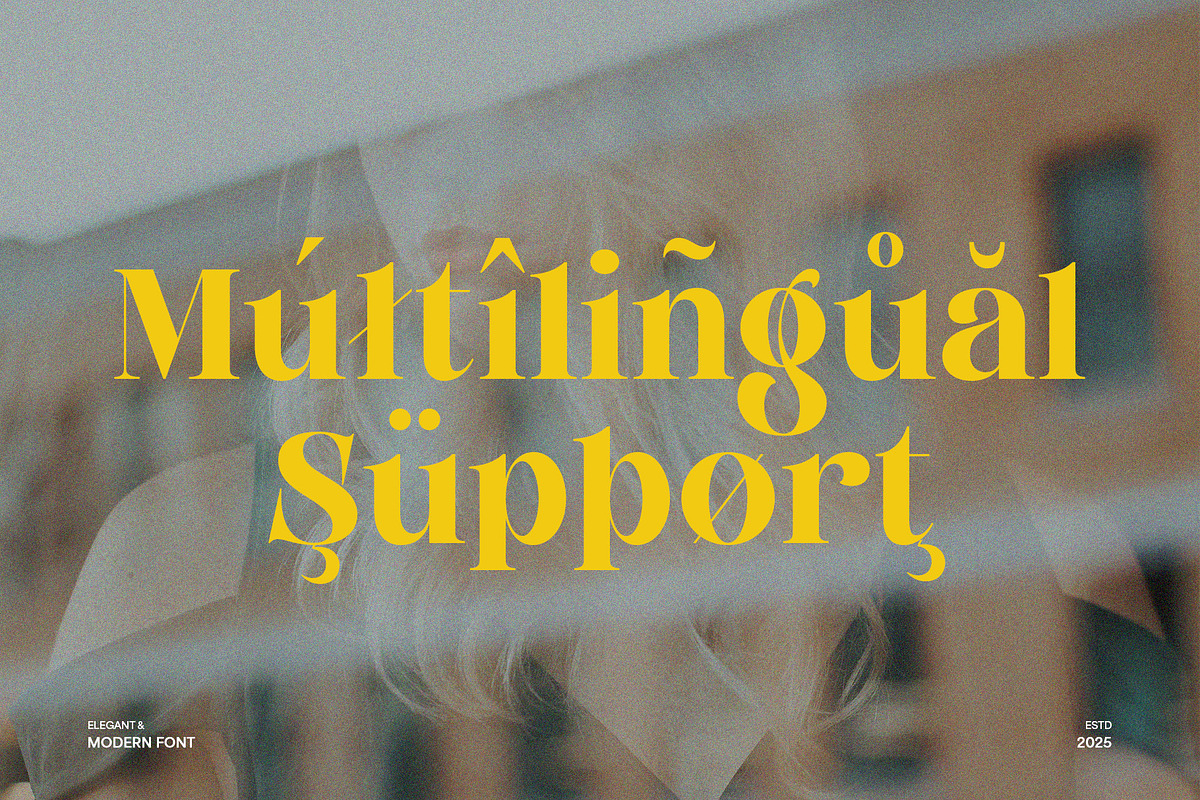 Andaluz - Modern & Elegant Serif, a Serif Font by Almeera Std (Photo 4 of 10)