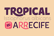 Tobi Pro Family, a Font by Rodrigo Typo (Thumbnail 6 of 10)