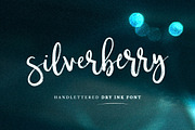 Silverberry - Dry Ink Font, a Script Font by Mats-Peter Forss (Thumbnail 1 of 7)