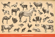SALE! 100 Animal Illustrations, an Animal Illustration by Anja Kaiser (Thumbnail 2 of 4)