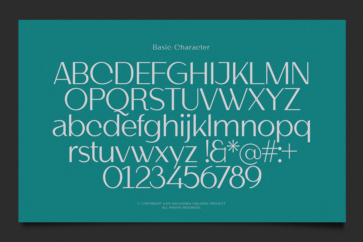 Helnore, a Sans Serif Font by OWL KING (Photo 3 of 8)