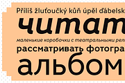 Fox Sans Pro, a Sans Serif Font by TipografiaRamis (Thumbnail 4 of 10)