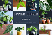 Little Jungle Image Bundle 2, an Arts & Entertainment Photo by Lum3n (Thumbnail 1 of 3)
