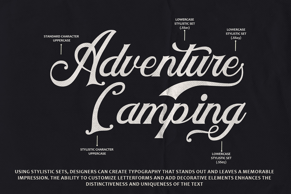 Holster - Vintage Script Font, a Script Font by Arendxstudio (Photo 2 of 10)