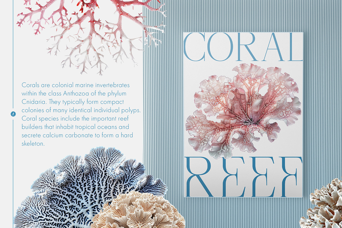 Fantastic Corals, an Object Graphic by Freezerondigital (Photo 2 of 10)