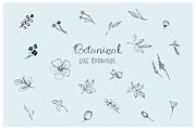 Sommerlich Expanded Collection, an Illustration by KLUGE+CO (Thumbnail 8 of 11)